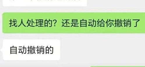 娱乐圈吃瓜抖音号,抖音号“吃瓜”带你领略幕后风云