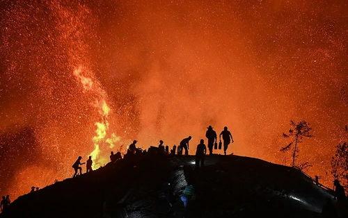 重庆山火明星网红,明星网红助力救援，共筑防火防线