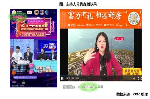 明星网红直播案例,明星网红案例深度解析