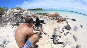 明星网红冲浪视频,捕捉海浪上的风采瞬间