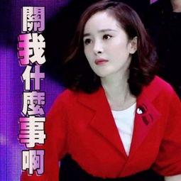 娱乐圈星扒爷吃瓜,吃瓜群众背后的真相大起底