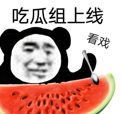 51网曝吃瓜黑料,揭秘网络舆论背后的真相