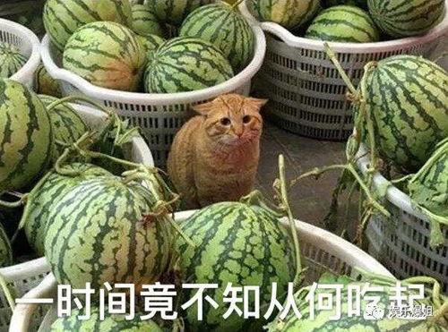 民间吃瓜爆料图片,民间吃瓜爆料图片背后的惊人真相