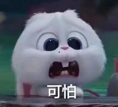 惠州今日吃瓜事件真相,一场误会引发的网络风波