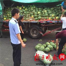 南充吃瓜爆料公司,揭秘当地热点事件背后的真相