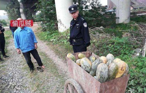 近期热门吃瓜事件陆河,揭秘近期热门吃瓜事件背后的真相