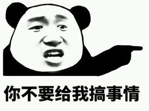 黑木炭瓜娃子可以吃吗,探究其安全性及食用价值