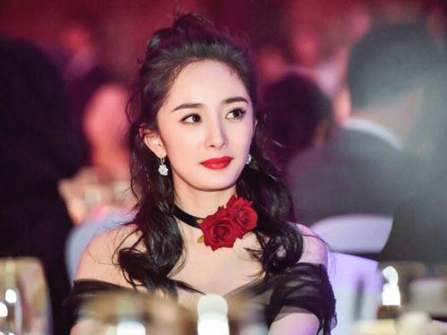 明星网红节目全集,明星网红节目全集精彩回顾