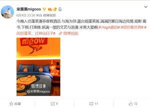明星网红打卡圣地,明星同款热门景点大盘点