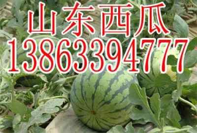 吃瓜爆料反差山东,反差萌的山东风情