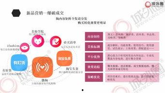 明星网红推广文案,明星网红效应下的品牌推广新篇章