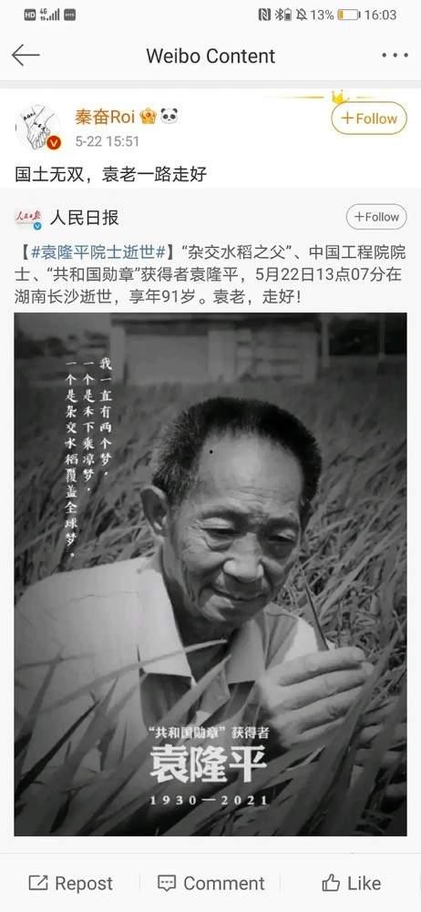 明星网红纪念袁隆平,明星网红共寄哀思，致敬杂交水稻之父