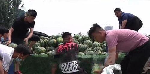 长垣吃瓜热门事件最后处理,真相大白，正义得以伸张