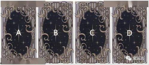 塔罗牌占卜明星网红,明星网红背后的命运之谜