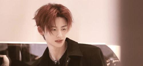 明星网红北哥,网红明星的崛起之路