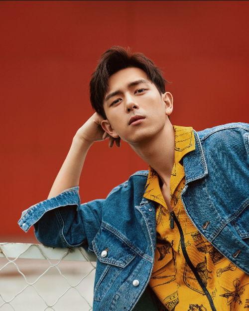 明星网红北哥,网红明星的崛起之路