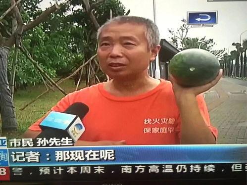 热门事件吃瓜是什么意思,从热门事件看网络围观现象