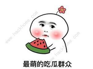 热门事件吃瓜是什么意思,从热门事件看网络围观现象