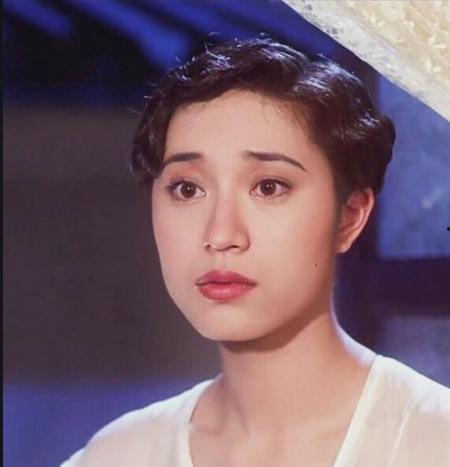 香港明星网红缅北,香港明星网红缅北探险记