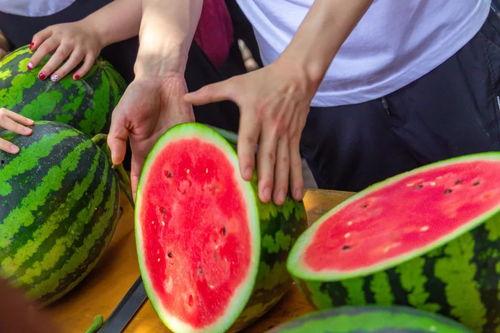 曹县吃瓜今日爆料,揭秘网络爆料的背后真相