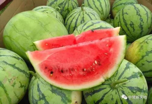 曹县吃瓜今日爆料,揭秘网络爆料的背后真相