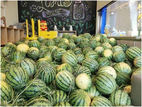 曹县吃瓜今日爆料,揭秘网络爆料的背后真相