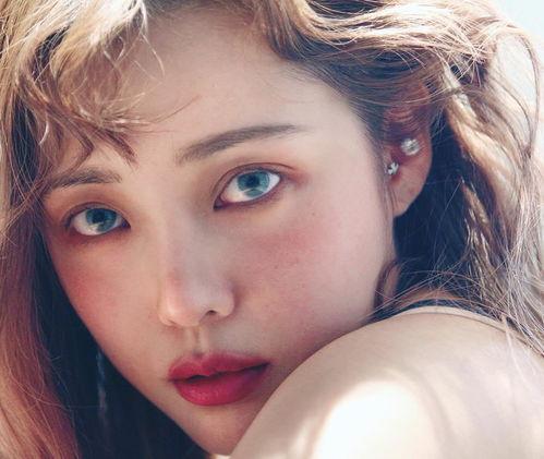 最近明星网红推荐,2023年度热门推荐大揭秘