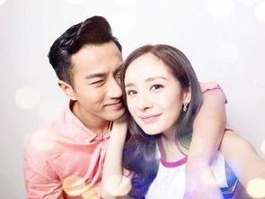 某明星网红出轨,真相与反思