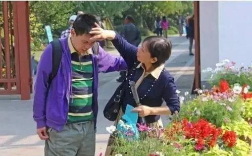 彩虹明星网红视频,闪耀短视频的魅力瞬间