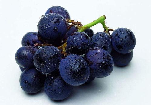 5g吃瓜黑料,那些你不知道的“吃瓜黑料”