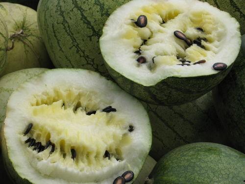 微山县近期热门吃瓜事件,揭秘近期热门吃瓜事件背后的真相