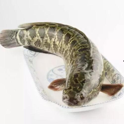 黑鱼视频吃瓜热门网站下载,热门事件背后的真相与热议