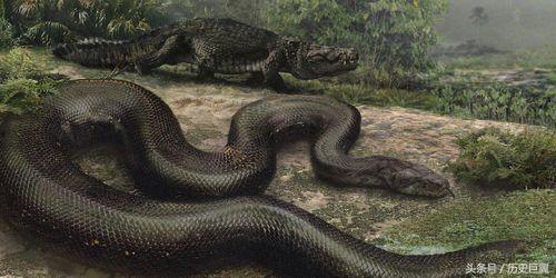 抖音大黑蟒吃瓜