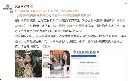 明星网红逃税处理,税务处理背后的行业反思