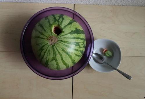 国家近期热门吃瓜事件有哪些,网络热议背后的焦点透视