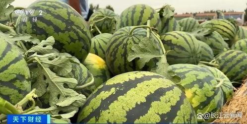 国家近期热门吃瓜事件有哪些,网络热议背后的焦点透视