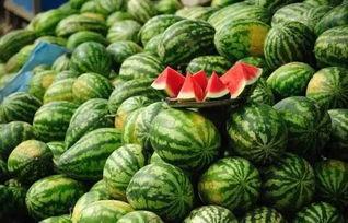 天然琪黑料吃瓜网,吃瓜网带你探秘娱乐圈风云