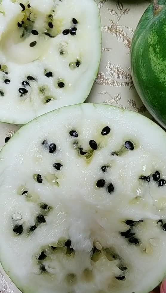 黑瓜子的瓜可以吃吗,美味与营养并存，能否直接食用揭秘