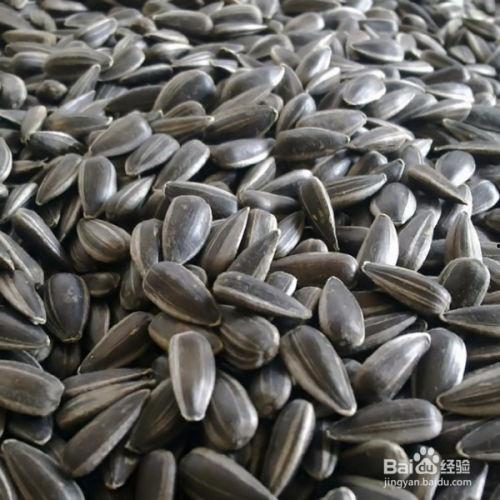 黑瓜子的瓜可以吃吗,美味与营养并存，能否直接食用揭秘