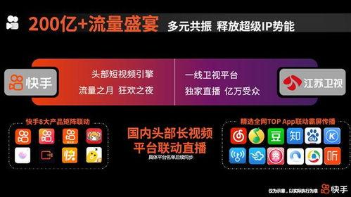 明星网红快手号