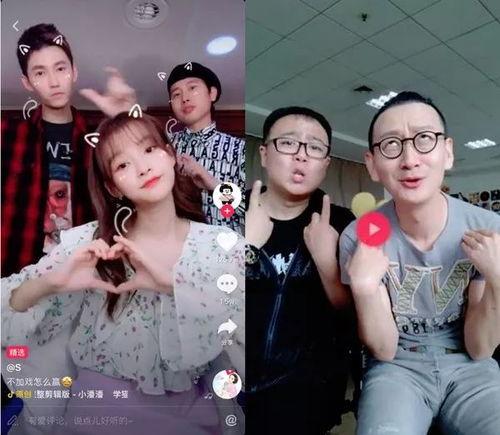 学猫叫明星网红