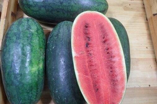 抖音ts黑料吃瓜,吃瓜群众如何解读网络热点