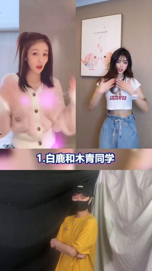 明星网红简易舞蹈,跟随明星步伐，轻松舞动青春风采