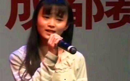 表演明星网红排名,璀璨星光闪耀娱乐圈