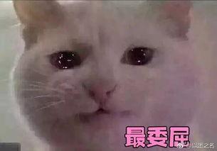 带你吃瓜奇葩武器黑科