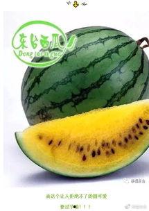 留学吃瓜黑料视频集合,那些你不知道的吃瓜黑料视频大集合