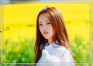 明星网红拍视频,网红明星短视频背后的魅力与影响力揭秘