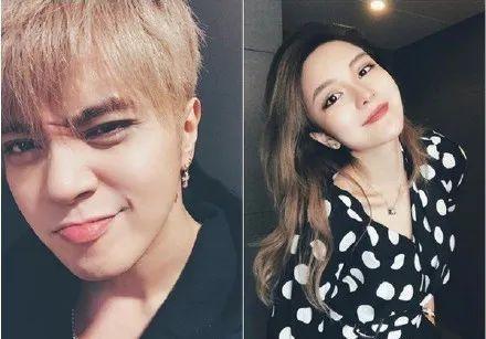 小猪明星网红视频,萌态可掬的短视频魅力