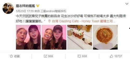 小猪明星网红视频,萌态可掬的短视频魅力