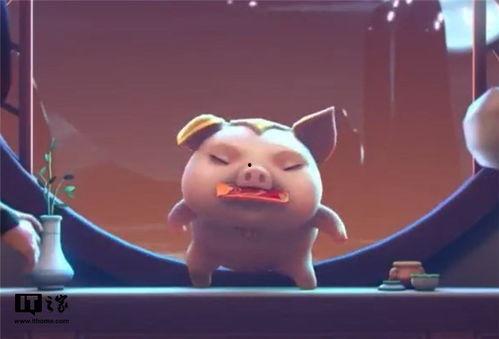 小猪明星网红视频,萌态可掬的短视频魅力